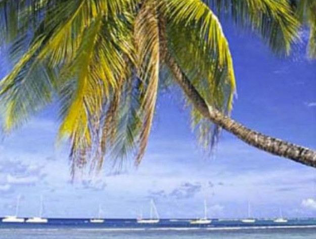 Bucuti Beach Resort featuring Tara Suites & Spa