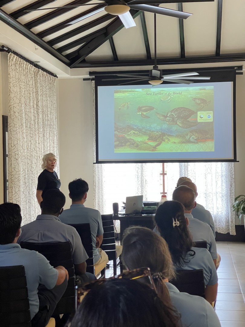 Turtugaruba seminars kick off the 2022 sea turtle season