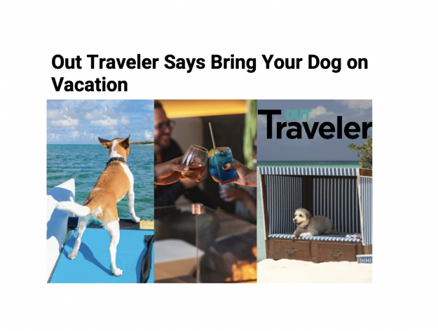 Out Traveler Says Bring Your Dog on Vacation