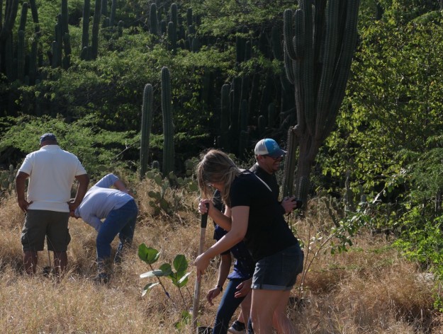 The Impact of Earth Week 2023 at Bucuti & Tara