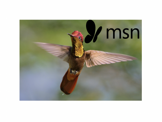 DIESE 7 NATURSCHAUSPIELE SOLLTE MAN MIT EIGENEN AUGEN SEHEN