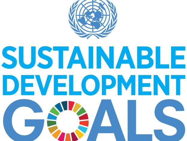 Unveiling the SDGs powering your sustainable vacation at Bucuti & Tara