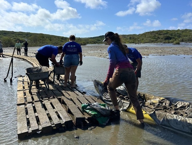 Bucuti & Tara Digs in for UNESCO’s Mangrove Conservation Day