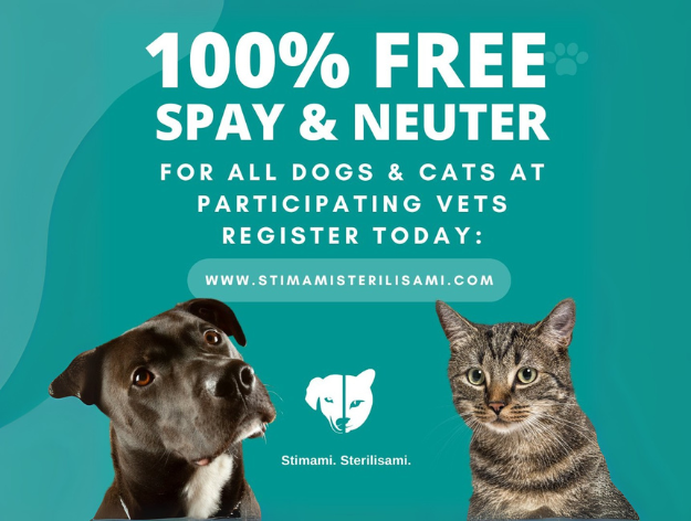 Bucuti & Tara Champions Animal Welfare with Island-wide Free Spay and Neuter